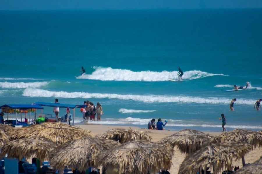 Cuál es el precio de las palapas en Playa Miramar