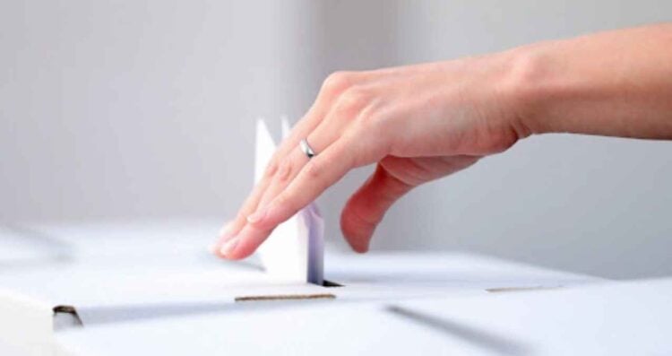 Lobo Román Reforma Electoral