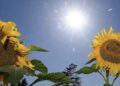 Equinoccio 2026 5 sencillos rituales para conectar con la energía de la primavera