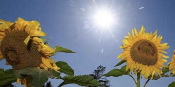 Equinoccio 2026 5 sencillos rituales para conectar con la energía de la primavera