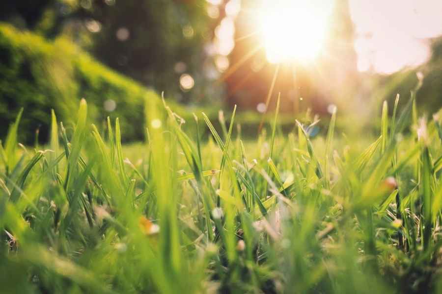 Equinoccio 2026 5 sencillos rituales para conectar con la energía de la primavera