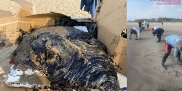 Gobierno de México identifica posibles causas del derrame de hidrocarburos en el Golfo de México: ¿Cuáles son?