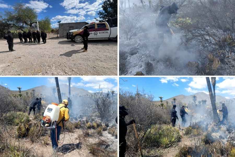 Guardia Estatal apoya combate a incendio en Miquihuana, Tamaulipas