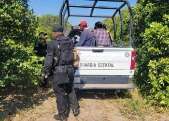 Guardia Estatal detiene a cinco hombres por presunto robo de cítricos en Nuevo Padilla, Tamaulipas