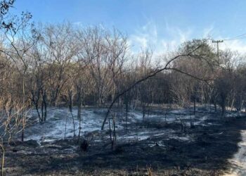 Incendio forestal corralón Juárez
