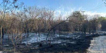 Incendio forestal corralón Juárez