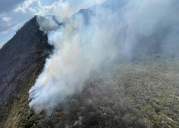 Incendio forestal en Miquihuana