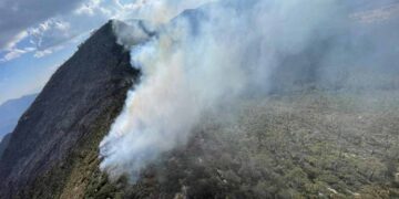 Incendio forestal en Miquihuana