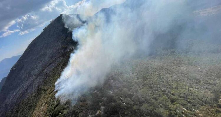 Incendio forestal en Miquihuana