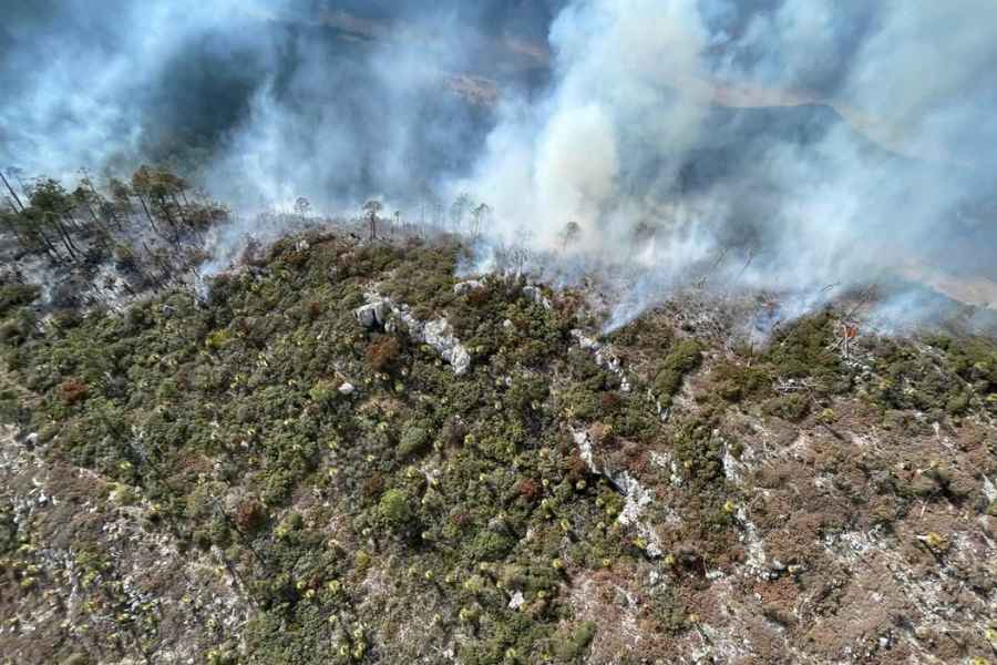 Incendio forestal en Miquihuana (1)