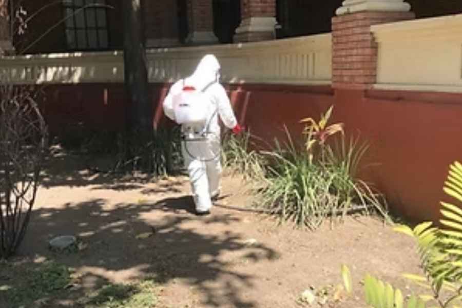 Intensifican acciones de prevención para dengue y chikungunya en Ciudad Victoria, Tamaulipas
