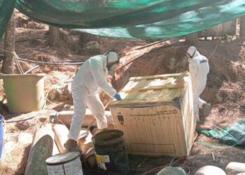 Marina inhabilita laboratorio clandestino con más de 600 kilos de metanfetamina en Sinaloa