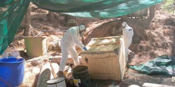 Marina inhabilita laboratorio clandestino con más de 600 kilos de metanfetamina en Sinaloa