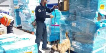 Marina intercepta más de una tonelada de cigarros ilegales en el Aeropuerto de la Ciudad de México