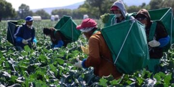 México pérdida alimentos que produce