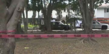 Operativo desmantela fábrica de dulces con marihuana en Zapopan, Jalisco