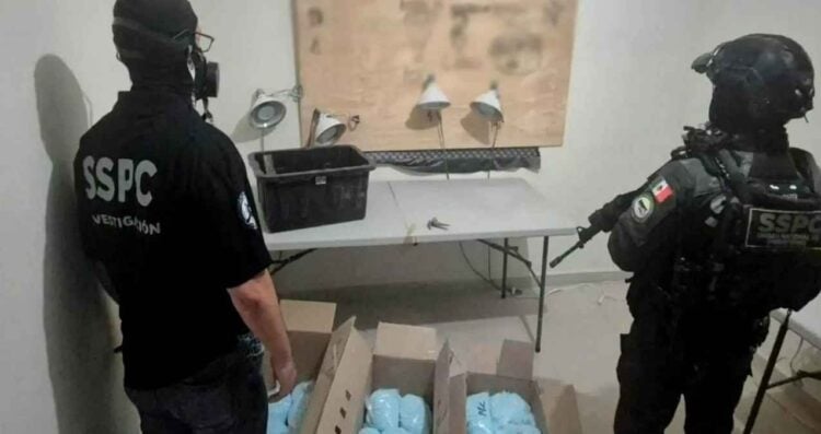 Operativo federal deja seis detenidos y asegura 270 kilogramos de fentanilo en Colima