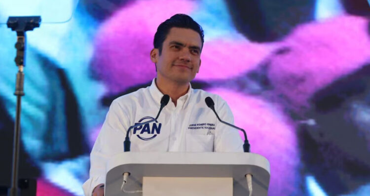 PAN candidaturas ciudadanía