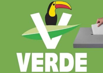 PVEM postura oficial reforma electoral
