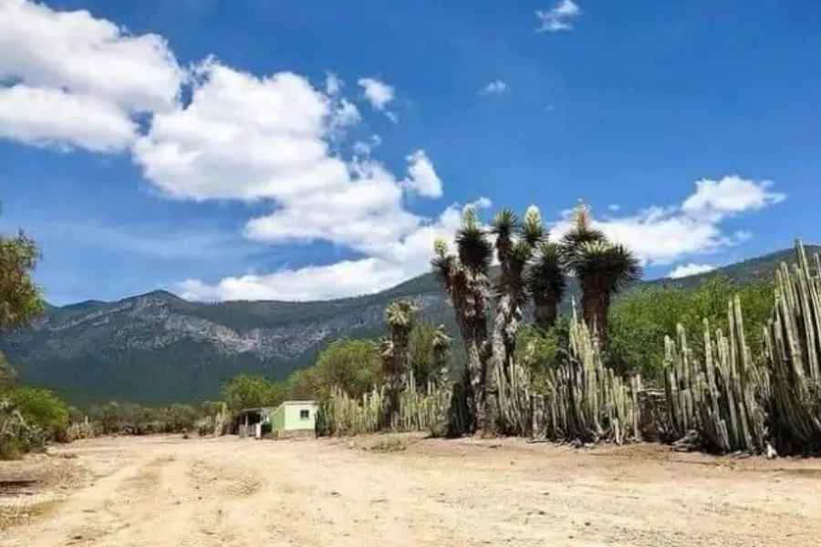 Poder Judicial lleva atención legal a zonas del Altiplano de Tamaulipas