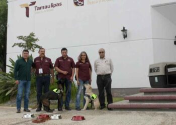 Refuerza Tamaulipas la sanidad pecuaria con binomios caninos especializados