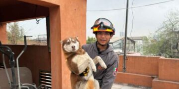 Rescatan a perrito en Monterrey