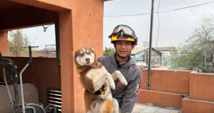 Rescatan a perrito en Monterrey
