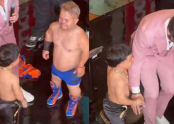 Ring Royale 'Abelito' 'Bull Terrie'
