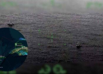SEMAR confirma localización de veleros que salieron de México hacia Cuba