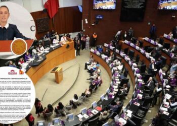 Senadores del PT y PVEM respaldarán el Plan B de la reforma electoral de Sheinbaum