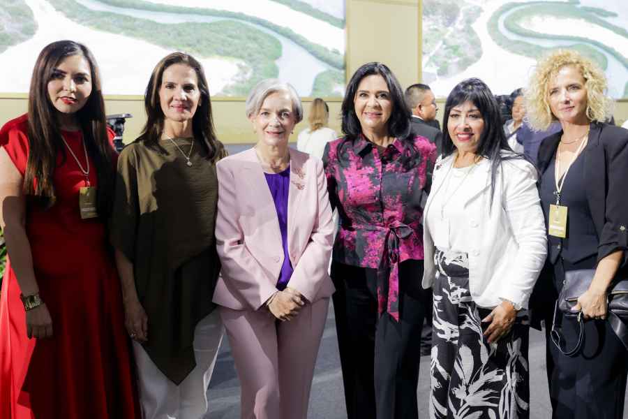 Tampico en el Cuarto Informe (2)