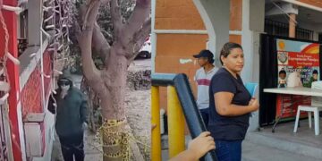 Tesorera de la primaria Gaspar Barrientos de Ciudad Madero, Tamaulipas, revela video del presunto asaltante que le quitó dinero de las inscripcionesvideo del presunto asaltante que le quitó dinero de las inscripciones