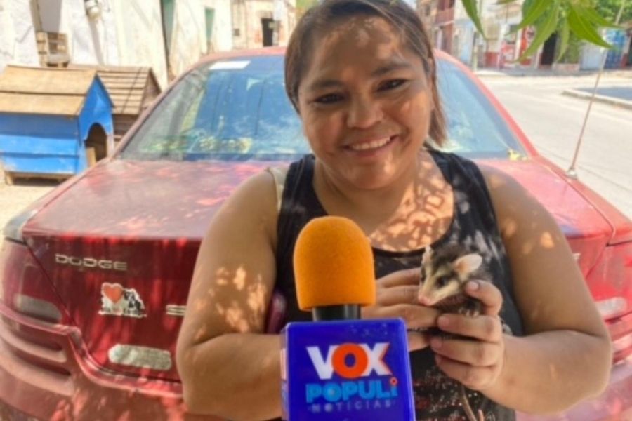 activismo animalista mujeres Tamaulipas