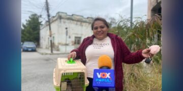activismo animalista mujeres Tamaulipas