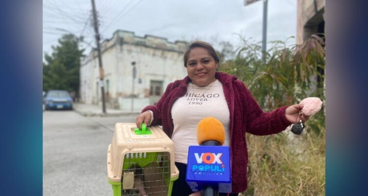 activismo animalista mujeres Tamaulipas