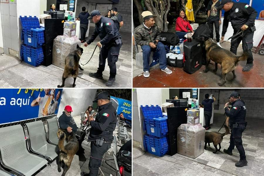 Agrupamiento Canino de la Guardia Estatal
