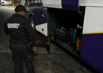 Agrupamiento Canino de la Guardia Estatal