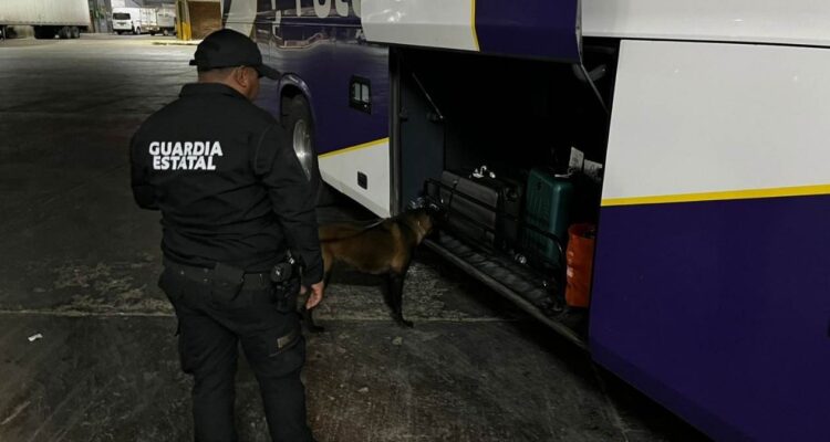Agrupamiento Canino de la Guardia Estatal