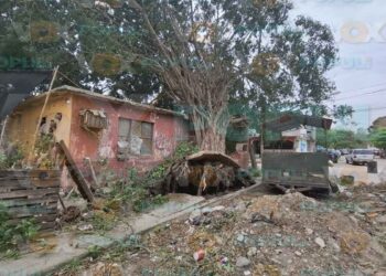árbol cae casa Altamira