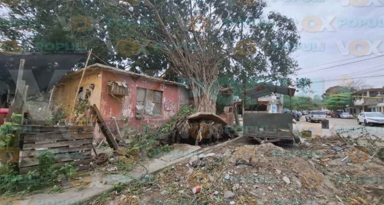 árbol cae casa Altamira