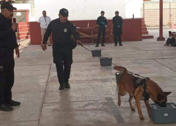 binomios caninos de la Guardia Estatal