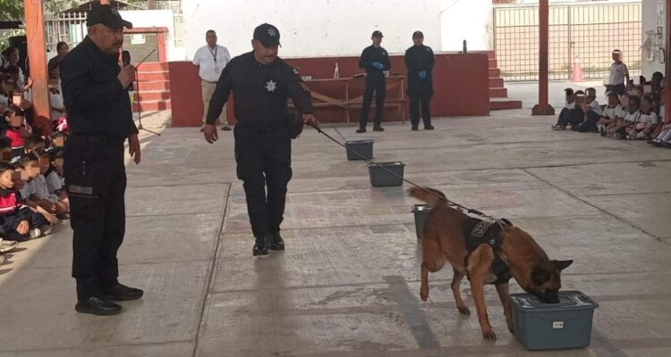 binomios caninos de la Guardia Estatal