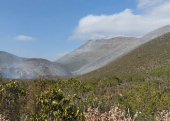 brigadas contra incendios en Tamaulipas