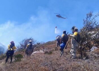 controlan incendio forestal Miquihuana