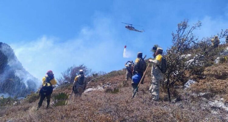 controlan incendio forestal Miquihuana