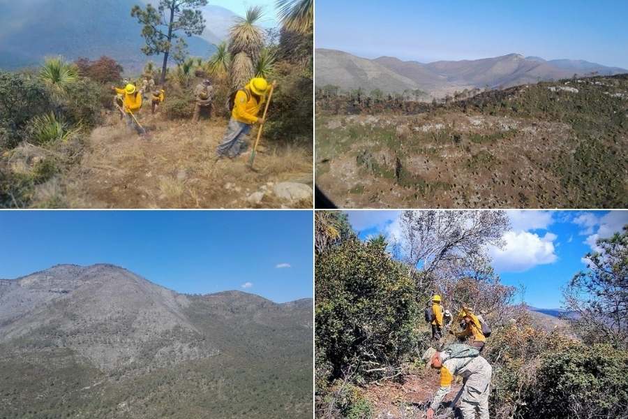 controlan incendio forestal Miquihuana