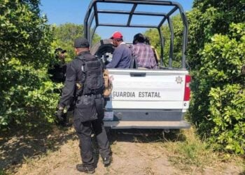 detención de cortadores de naranja en Padilla