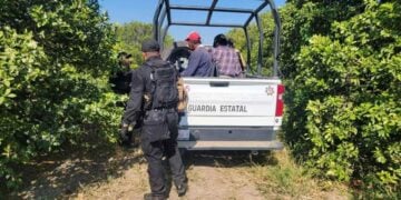 detención de cortadores de naranja en Padilla