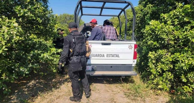 detención de cortadores de naranja en Padilla