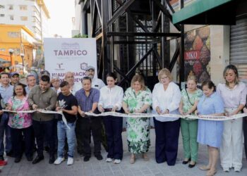 elevador de carga Tampico